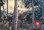 Image 77e Division d'infanterie Guam Îles Mariannes, 1944, de la seconde 10 séquences d'archives historiques vidéo 65675063809