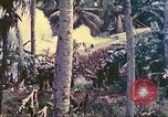 Image 77e Division d'infanterie Guam Îles Mariannes, 1944, de la seconde 14 séquences d'archives historiques vidéo 65675063809