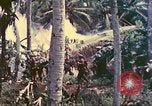 Image 77e Division d'infanterie Guam Îles Mariannes, 1944, de la seconde 15 séquences d'archives historiques vidéo 65675063809