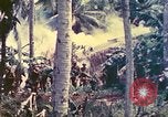 Image 77e Division d'infanterie Guam Îles Mariannes, 1944, de la seconde 19 séquences d'archives historiques vidéo 65675063809