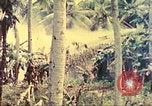 Image 77e Division d'infanterie Guam Îles Mariannes, 1944, de la seconde 27 séquences d'archives historiques vidéo 65675063809