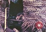 Image 77e Division d'infanterie Guam Îles Mariannes, 1944, de la seconde 33 séquences d'archives historiques vidéo 65675063809