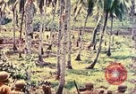 Image 77e Division d'infanterie Guam Îles Mariannes, 1944, de la seconde 37 séquences d'archives historiques vidéo 65675063809
