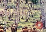 Image 77e Division d'infanterie Guam Îles Mariannes, 1944, de la seconde 41 séquences d'archives historiques vidéo 65675063809