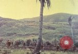 Image 77e Division d'infanterie Guam Îles Mariannes, 1944, de la seconde 51 séquences d'archives historiques vidéo 65675063809