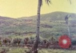 Image 77e Division d'infanterie Guam Îles Mariannes, 1944, de la seconde 57 séquences d'archives historiques vidéo 65675063809