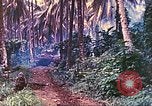 Image 77e Division d'infanterie Nouvelle Bretagne la Papouasie-Nouvelle-Guinée, 1944, de la seconde 7 séquences d'archives historiques vidéo 65675063810