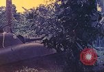 Image 77e Division d'infanterie Nouvelle Bretagne la Papouasie-Nouvelle-Guinée, 1944, de la seconde 21 séquences d'archives historiques vidéo 65675063810