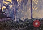 Image 77e Division d'infanterie Nouvelle Bretagne la Papouasie-Nouvelle-Guinée, 1944, de la seconde 33 séquences d'archives historiques vidéo 65675063810