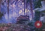 Image 77e Division d'infanterie Nouvelle Bretagne la Papouasie-Nouvelle-Guinée, 1944, de la seconde 55 séquences d'archives historiques vidéo 65675063810