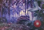 Image 77e Division d'infanterie Nouvelle Bretagne la Papouasie-Nouvelle-Guinée, 1944, de la seconde 58 séquences d'archives historiques vidéo 65675063810