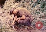 Image -NOUS 5e Marines envahissent les zones tenues japonais de la Papouasie-Nouvelle-Guinée Talasea Nouvelle-Bretagne Papouasie-Nouvelle-Guinée, 1944, de la seconde 16 séquences d'archives historiques vidéo 65675063811