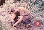 Image -NOUS 5e Marines envahissent les zones tenues japonais de la Papouasie-Nouvelle-Guinée Talasea Nouvelle-Bretagne Papouasie-Nouvelle-Guinée, 1944, de la seconde 19 séquences d'archives historiques vidéo 65675063811