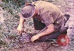 Image -NOUS 5e Marines envahissent les zones tenues japonais de la Papouasie-Nouvelle-Guinée Talasea Nouvelle-Bretagne Papouasie-Nouvelle-Guinée, 1944, de la seconde 23 séquences d'archives historiques vidéo 65675063811