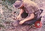 Image -NOUS 5e Marines envahissent les zones tenues japonais de la Papouasie-Nouvelle-Guinée Talasea Nouvelle-Bretagne Papouasie-Nouvelle-Guinée, 1944, de la seconde 24 séquences d'archives historiques vidéo 65675063811