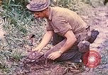 Image -NOUS 5e Marines envahissent les zones tenues japonais de la Papouasie-Nouvelle-Guinée Talasea Nouvelle-Bretagne Papouasie-Nouvelle-Guinée, 1944, de la seconde 30 séquences d'archives historiques vidéo 65675063811