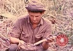Image -NOUS 5e Marines envahissent les zones tenues japonais de la Papouasie-Nouvelle-Guinée Talasea Nouvelle-Bretagne Papouasie-Nouvelle-Guinée, 1944, de la seconde 36 séquences d'archives historiques vidéo 65675063811