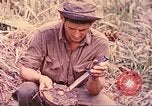Image -NOUS 5e Marines envahissent les zones tenues japonais de la Papouasie-Nouvelle-Guinée Talasea Nouvelle-Bretagne Papouasie-Nouvelle-Guinée, 1944, de la seconde 37 séquences d'archives historiques vidéo 65675063811