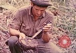 Image -NOUS 5e Marines envahissent les zones tenues japonais de la Papouasie-Nouvelle-Guinée Talasea Nouvelle-Bretagne Papouasie-Nouvelle-Guinée, 1944, de la seconde 38 séquences d'archives historiques vidéo 65675063811