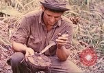 Image -NOUS 5e Marines envahissent les zones tenues japonais de la Papouasie-Nouvelle-Guinée Talasea Nouvelle-Bretagne Papouasie-Nouvelle-Guinée, 1944, de la seconde 39 séquences d'archives historiques vidéo 65675063811