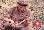 Image -NOUS 5e Marines envahissent les zones tenues japonais de la Papouasie-Nouvelle-Guinée Talasea Nouvelle-Bretagne Papouasie-Nouvelle-Guinée, 1944, de la seconde 41 séquences d'archives historiques vidéo 65675063811