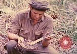 Image -NOUS 5e Marines envahissent les zones tenues japonais de la Papouasie-Nouvelle-Guinée Talasea Nouvelle-Bretagne Papouasie-Nouvelle-Guinée, 1944, de la seconde 42 séquences d'archives historiques vidéo 65675063811