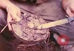 Image -NOUS 5e Marines envahissent les zones tenues japonais de la Papouasie-Nouvelle-Guinée Talasea Nouvelle-Bretagne Papouasie-Nouvelle-Guinée, 1944, de la seconde 43 séquences d'archives historiques vidéo 65675063811