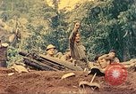 Image 5e Marines blessés traités dans la jungle Talasea Nouvelle-Bretagne Papouasie-Nouvelle-Guinée, 1944, de la seconde 23 séquences d'archives historiques vidéo 65675063812