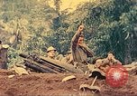 Image 5e Marines blessés traités dans la jungle Talasea Nouvelle-Bretagne Papouasie-Nouvelle-Guinée, 1944, de la seconde 25 séquences d'archives historiques vidéo 65675063812