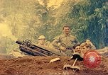 Image 5e Marines blessés traités dans la jungle Talasea Nouvelle-Bretagne Papouasie-Nouvelle-Guinée, 1944, de la seconde 31 séquences d'archives historiques vidéo 65675063812