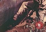 Image 5e Marines blessés traités dans la jungle Talasea Nouvelle-Bretagne Papouasie-Nouvelle-Guinée, 1944, de la seconde 53 séquences d'archives historiques vidéo 65675063812