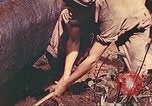 Image 5e Marines blessés traités dans la jungle Talasea Nouvelle-Bretagne Papouasie-Nouvelle-Guinée, 1944, de la seconde 55 séquences d'archives historiques vidéo 65675063812
