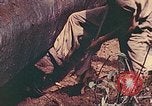 Image 5e Marines blessés traités dans la jungle Talasea Nouvelle-Bretagne Papouasie-Nouvelle-Guinée, 1944, de la seconde 56 séquences d'archives historiques vidéo 65675063812
