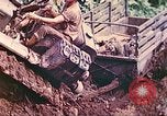 Immagine di Noi 5 Marines utilizzare il verricello per tirare il veicolo blindato in salita Talasea Nuova Gran Bretagna Papua Nuova Guinea, 1944, secondo 32 filmato di repertorio 65675063814