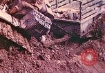 Immagine di Noi 5 Marines utilizzare il verricello per tirare il veicolo blindato in salita Talasea Nuova Gran Bretagna Papua Nuova Guinea, 1944, secondo 36 filmato di repertorio 65675063814