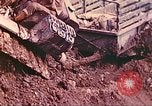 Immagine di Noi 5 Marines utilizzare il verricello per tirare il veicolo blindato in salita Talasea Nuova Gran Bretagna Papua Nuova Guinea, 1944, secondo 37 filmato di repertorio 65675063814
