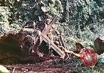 Immagine di Noi 5 Marines utilizzare il verricello per tirare il veicolo blindato in salita Talasea Nuova Gran Bretagna Papua Nuova Guinea, 1944, secondo 48 filmato di repertorio 65675063814