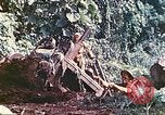 Immagine di Noi 5 Marines utilizzare il verricello per tirare il veicolo blindato in salita Talasea Nuova Gran Bretagna Papua Nuova Guinea, 1944, secondo 49 filmato di repertorio 65675063814