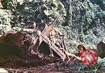Immagine di Noi 5 Marines utilizzare il verricello per tirare il veicolo blindato in salita Talasea Nuova Gran Bretagna Papua Nuova Guinea, 1944, secondo 50 filmato di repertorio 65675063814