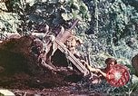 Immagine di Noi 5 Marines utilizzare il verricello per tirare il veicolo blindato in salita Talasea Nuova Gran Bretagna Papua Nuova Guinea, 1944, secondo 52 filmato di repertorio 65675063814