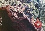 Immagine di Noi 5 Marines utilizzare il verricello per tirare il veicolo blindato in salita Talasea Nuova Gran Bretagna Papua Nuova Guinea, 1944, secondo 60 filmato di repertorio 65675063814
