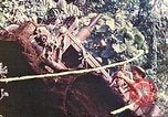 Immagine di Noi 5 Marines utilizzare il verricello per tirare il veicolo blindato in salita Talasea Nuova Gran Bretagna Papua Nuova Guinea, 1944, secondo 62 filmato di repertorio 65675063814