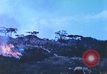Image of 6th Marine Division in action Okinawa Ryukyu Islands, 1945, second 10 stock footage video 65675063816