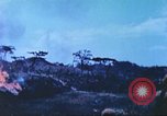 Image of 6th Marine Division in action Okinawa Ryukyu Islands, 1945, second 11 stock footage video 65675063816