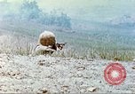 Image of 6th Marine Division machine guns Okinawa Ryukyu Islands, 1945, second 9 stock footage video 65675063817