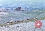 Image of 6th Marine Division machine guns Okinawa Ryukyu Islands, 1945, second 19 stock footage video 65675063817