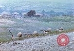 Image of 6th Marine Division machine guns Okinawa Ryukyu Islands, 1945, second 21 stock footage video 65675063817