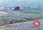Image of 6th Marine Division machine guns Okinawa Ryukyu Islands, 1945, second 22 stock footage video 65675063817