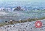 Image of 6th Marine Division machine guns Okinawa Ryukyu Islands, 1945, second 23 stock footage video 65675063817