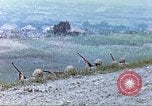 Image of 6th Marine Division machine guns Okinawa Ryukyu Islands, 1945, second 24 stock footage video 65675063817